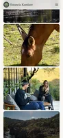 Property photo gallery.
