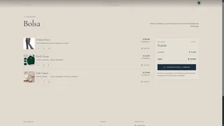 Shopping bag and order summary.